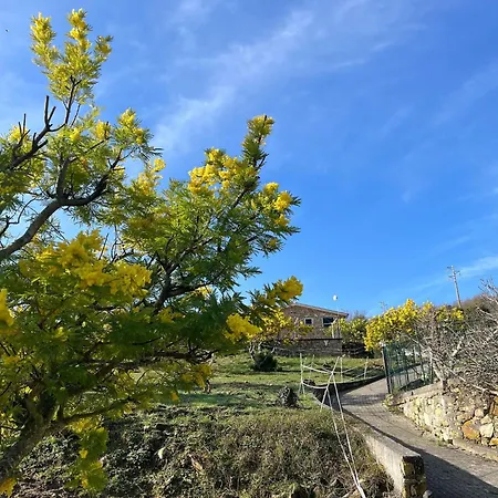 In Imperia